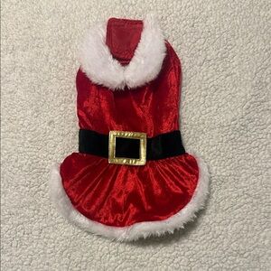 Festive Red Dog Santa Outfit with White Trim - Extra Small/Small